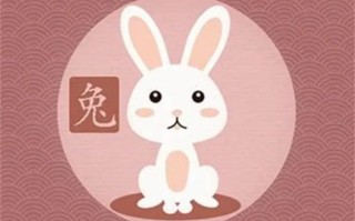 精准三肖三期内必中(2011年属兔人的贵人是什么生肖？)